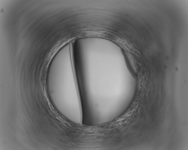 X0000084050241200702160932