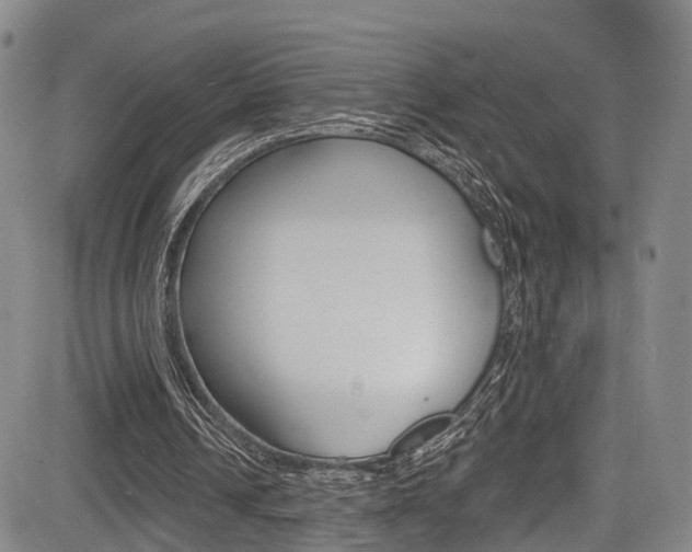 X0000084050242200702160932