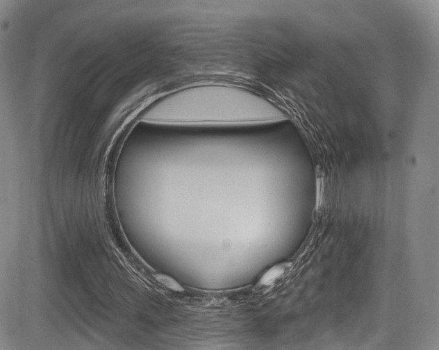 X0000084050243200702160932