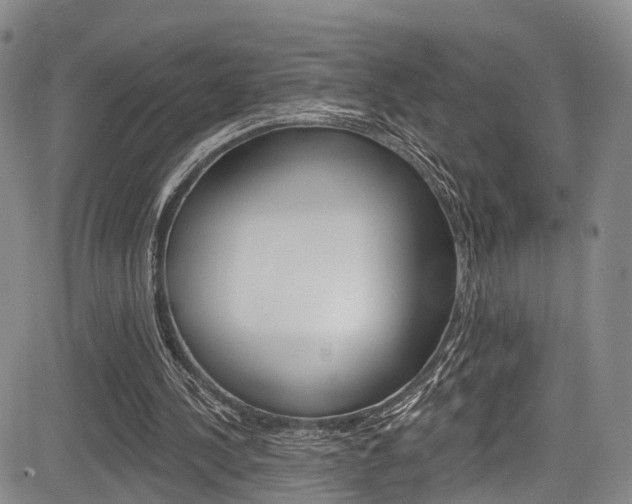 X0000084050244200702160932