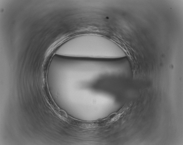 X0000084050245200702160932