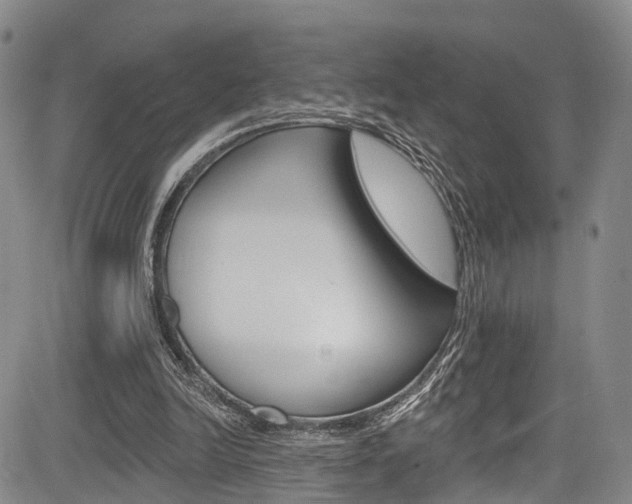 X0000084050246200702160932