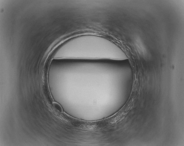 X0000084050247200702160932