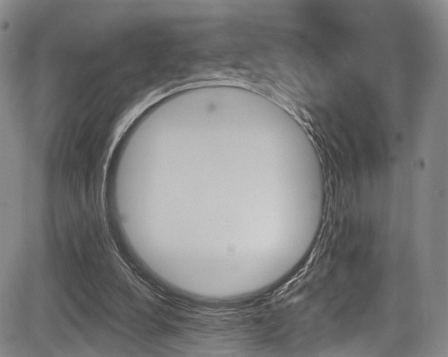 X0000084050248200702160932