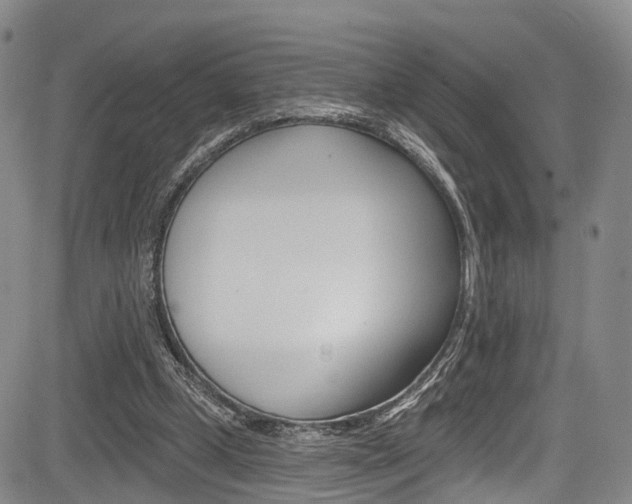 X0000084050249200702160932