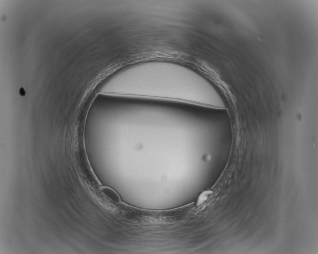 X0000084050250200702160932