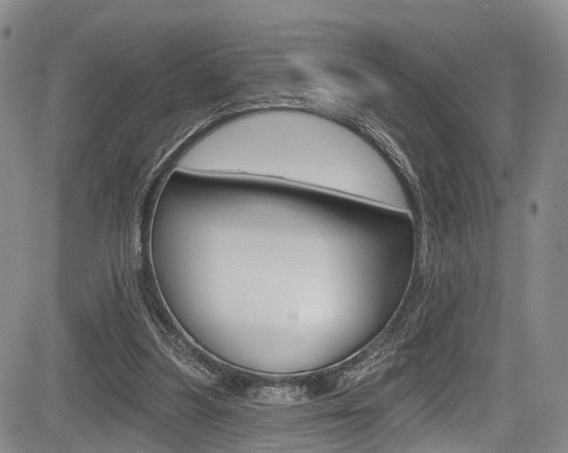 X0000084050251200702160932