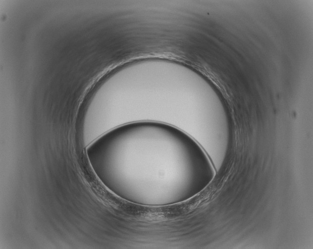 X0000084050252200702160932