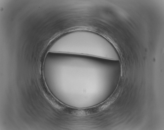 X0000084050253200702160932