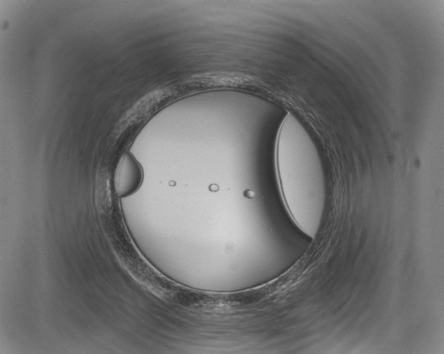 X0000084050254200702160932