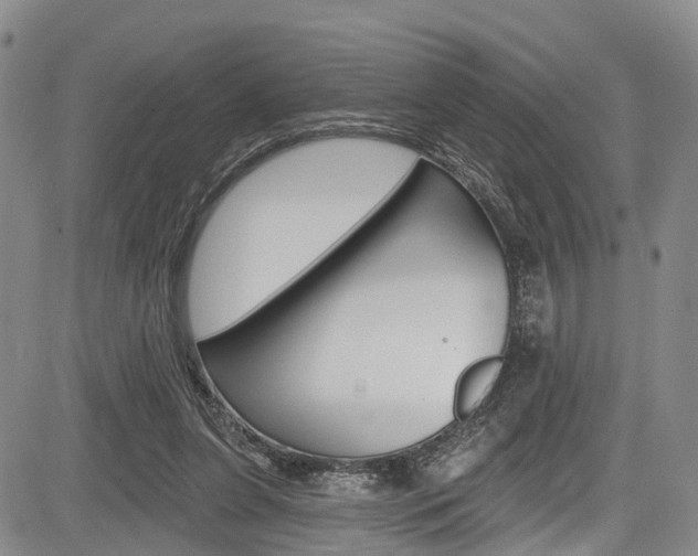 X0000084050255200702160932