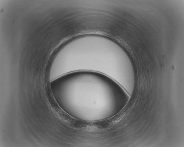 X0000084050256200702160932