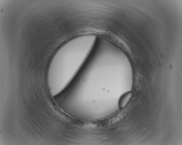 X0000084050257200702160932