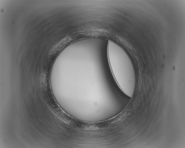 X0000084050258200702160932