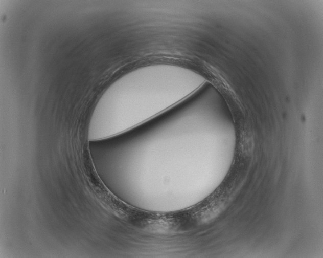 X0000084050259200702160932