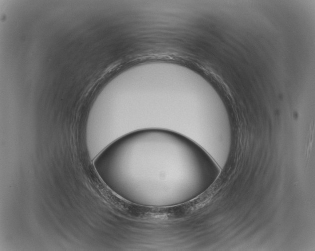 X0000084050260200702160932