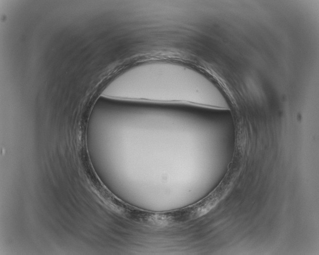 X0000084050261200702160932