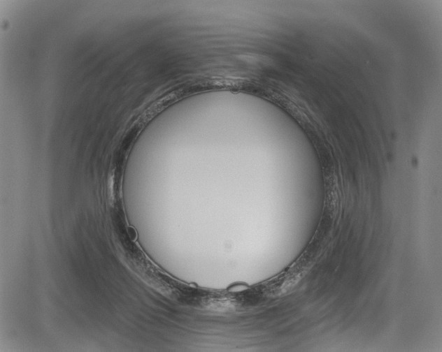 X0000084050262200702160932