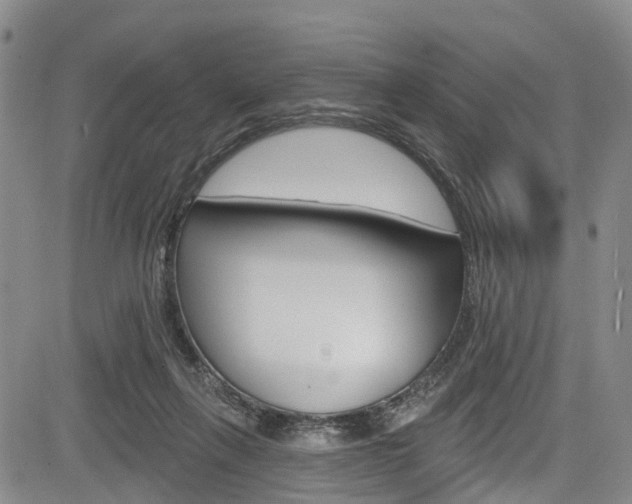 X0000084050263200702160932