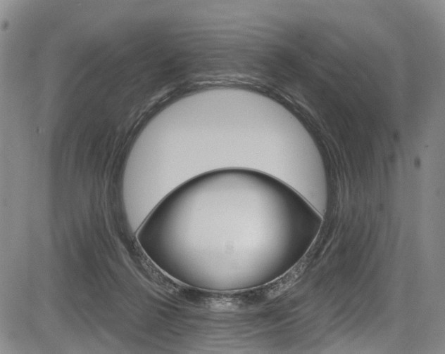 X0000084050264200702160932