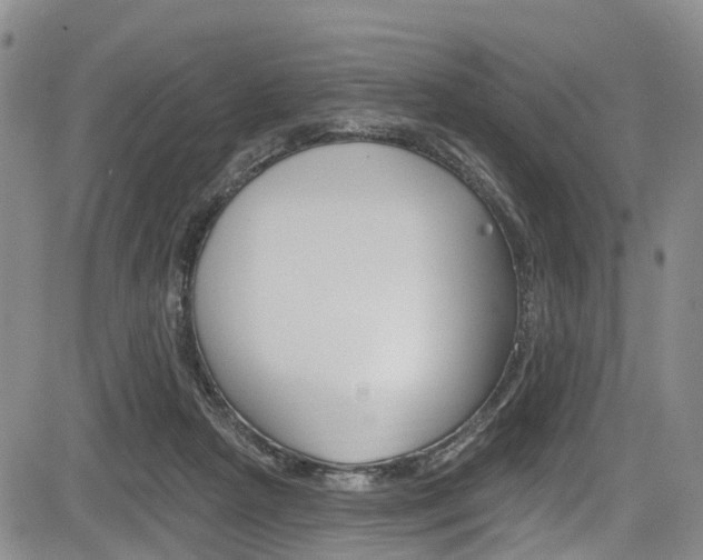 X0000084050265200702160932