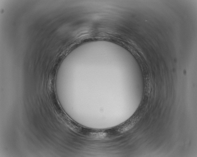 X0000084050266200702160932