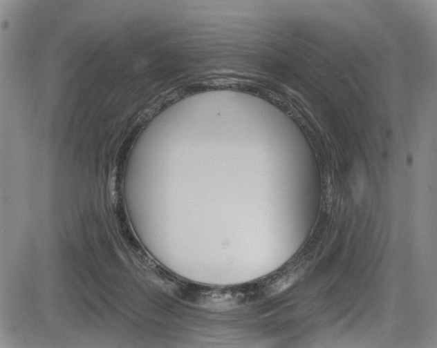 X0000084050267200702160932