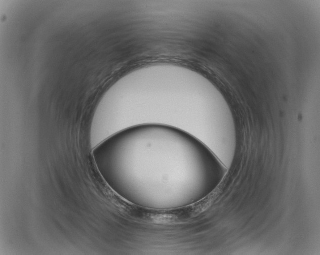 X0000084050268200702160932