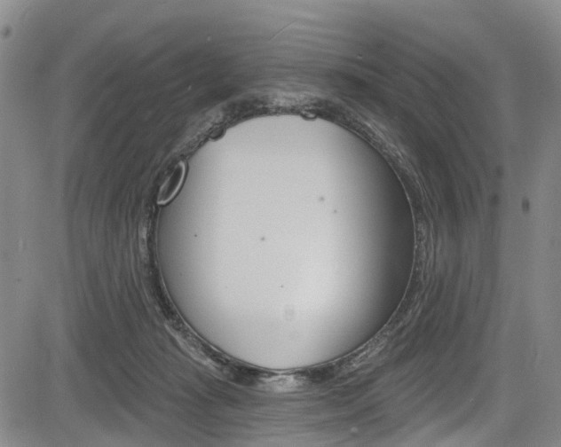 X0000084050269200702160932