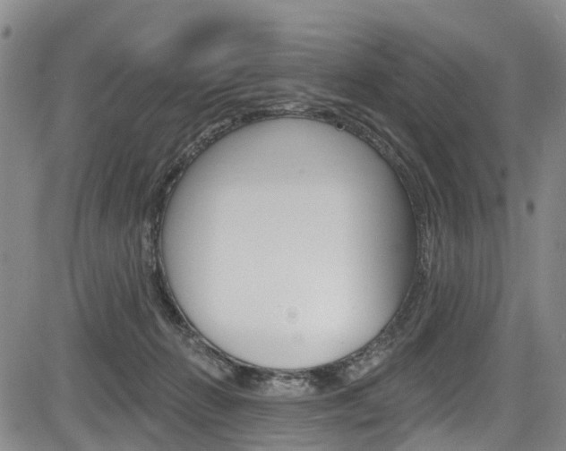 X0000084050270200702160932