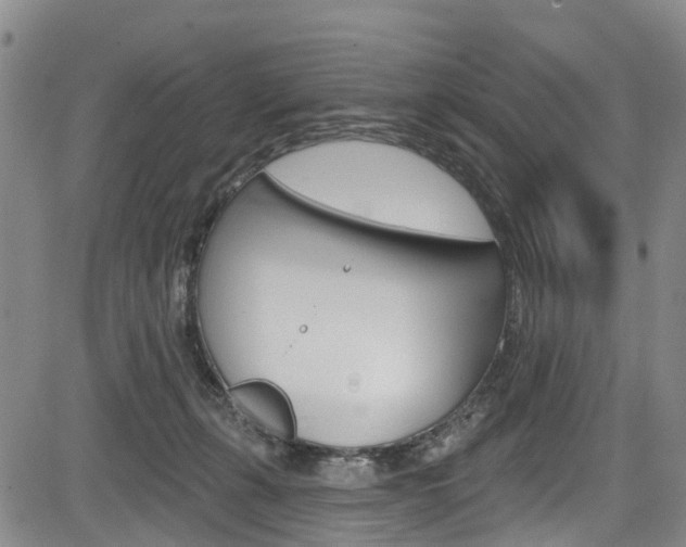 X0000084050271200702160932