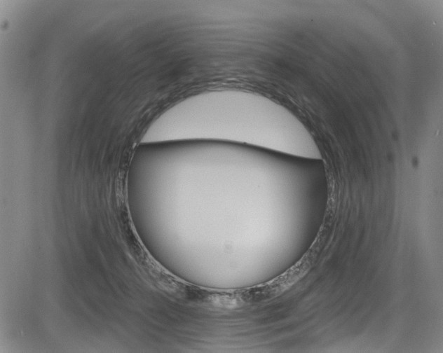 X0000084050272200702160932