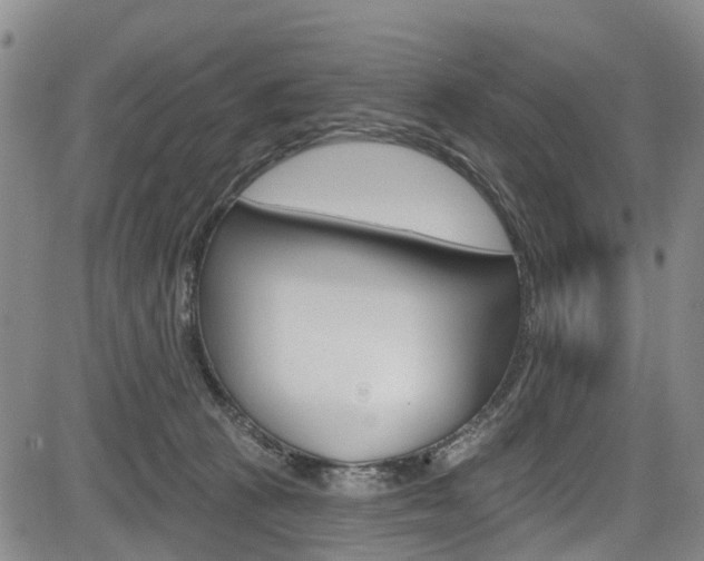 X0000084050273200702160932