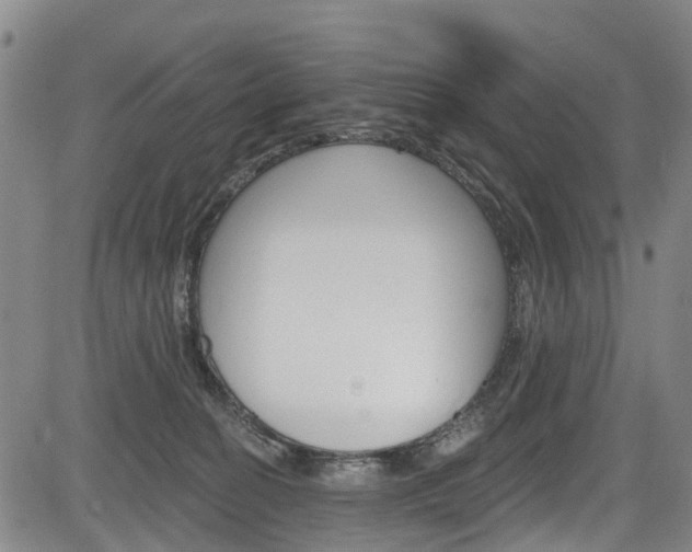 X0000084050274200702160932