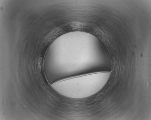 X0000084050275200702160932