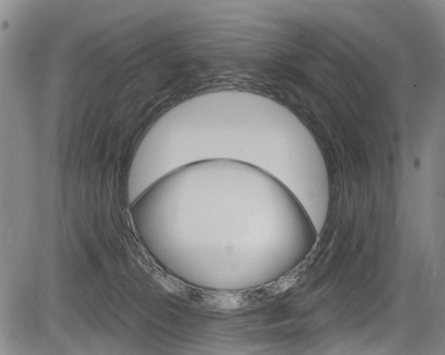 X0000084050276200702160932