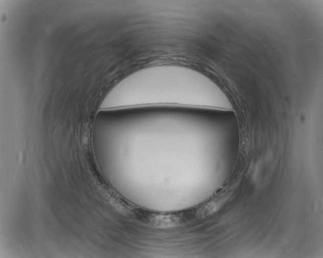 X0000084050277200702160932