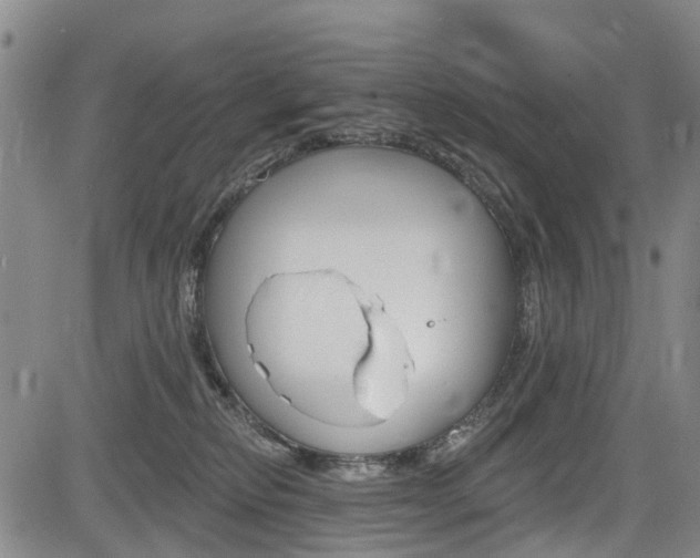 X0000084050278200702160932