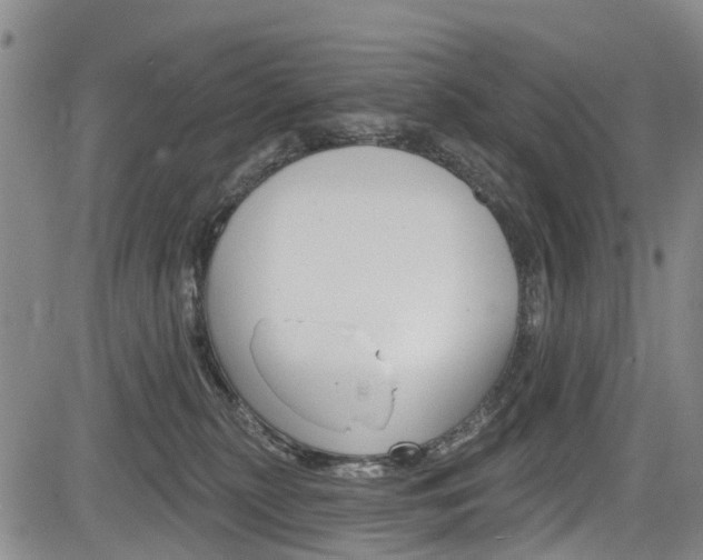 X0000084050279200702160932