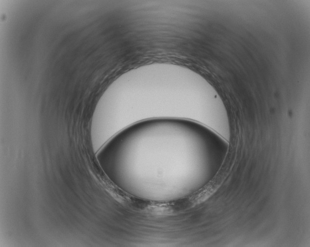 X0000084050280200702160932