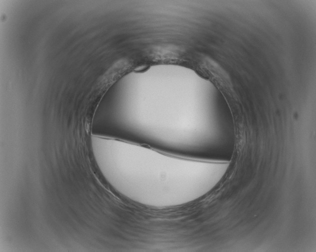 X0000084050281200702160932