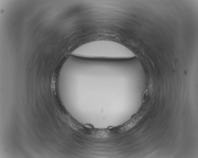 X0000084050282200702160932