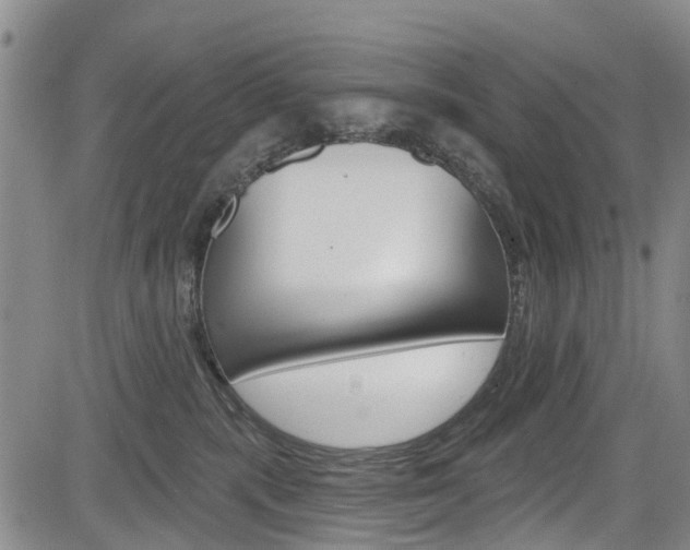 X0000084050283200702160932