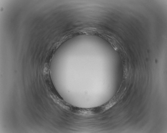 X0000084050284200702160932