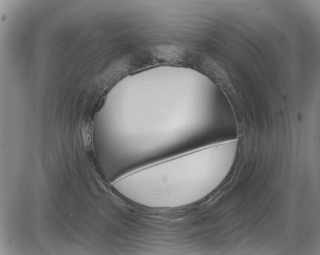 X0000084050285200702160932