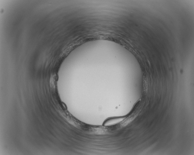 X0000084050286200702160932