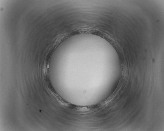 X0000084050287200702160932