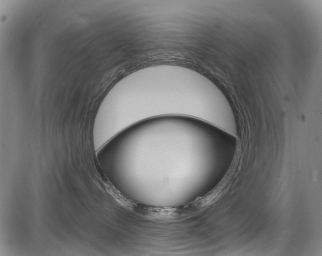 X0000084050288200702160932