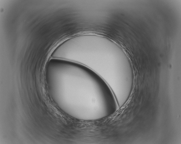 X0000084050289200702160932