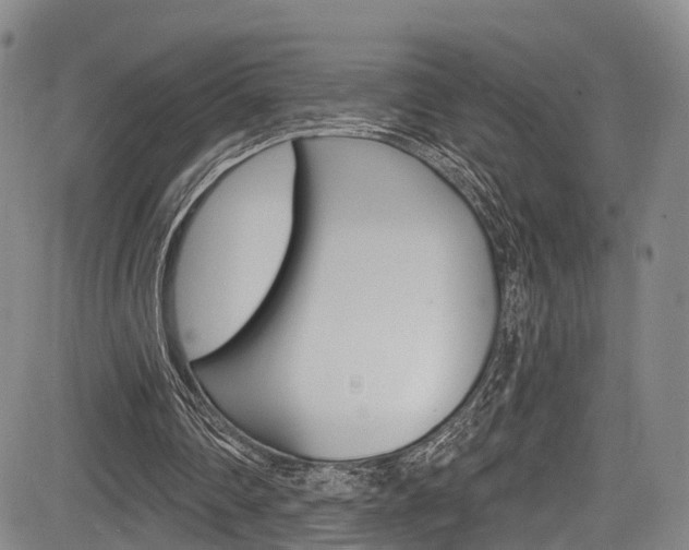 X0000084050290200702160932